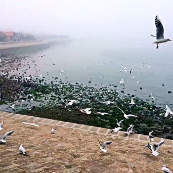 青岛聆竹雅居老洋房酒店提供图片