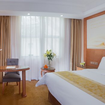 维也纳国际酒店(重庆星光大道两江幸福广场店)酒店提供图片