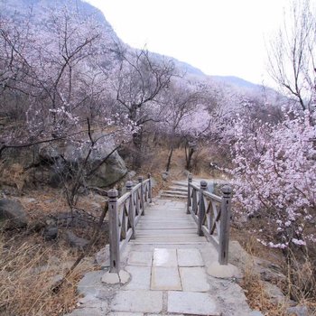 北京静花缘梦回古道民宿(京西古道景区分店)酒店提供图片