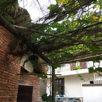 武夷山陋室茗民宿酒店提供图片