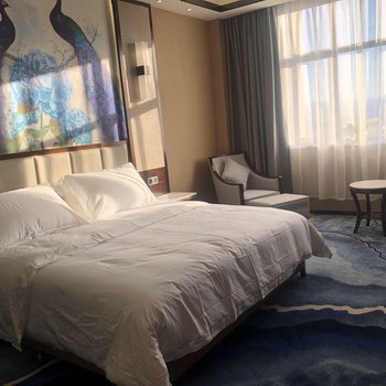 阿拉山口海星精品酒店酒店提供图片