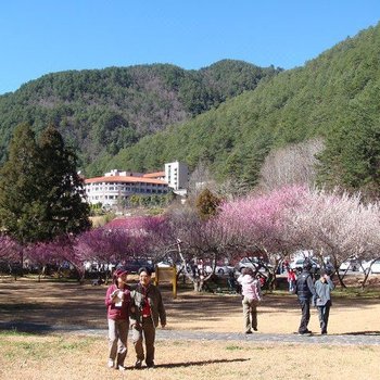 台中武陵农场富野渡假村酒店提供图片