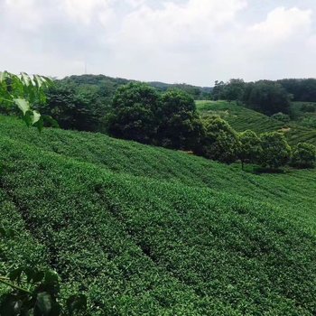 镇江一泉·南山隐庐独栋别墅酒店提供图片