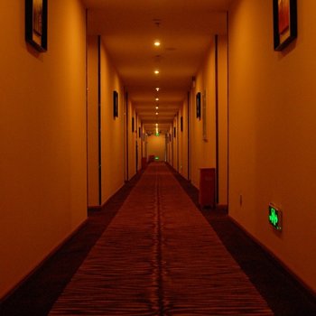 禧龙宾馆(鹤岗店)酒店提供图片