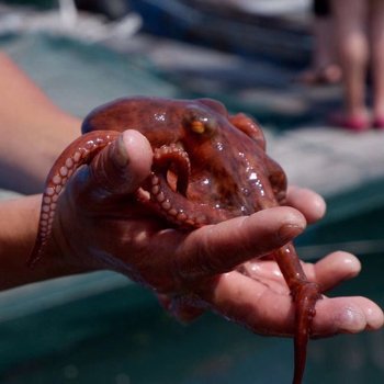 漳州非花花园精品民宿酒店提供图片