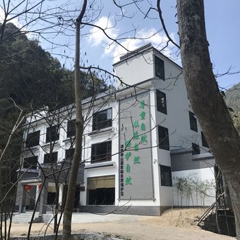 郴州莽山茶王谷生态酒店酒店提供图片