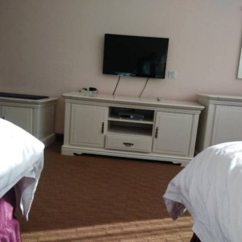 锡林郭勒苏尼特右旗赛汉塔拉温泉假日酒店酒店提供图片
