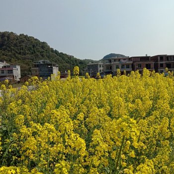 永州田园栈民宿酒店提供图片