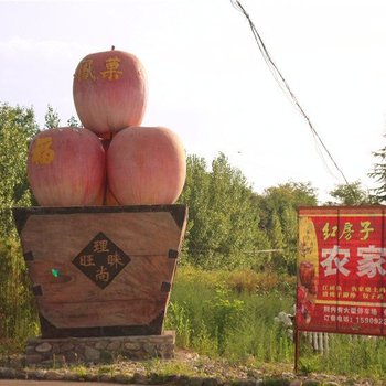宝鸡凤县红房子农家乐酒店提供图片