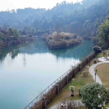 成都花水湾水云阁公寓酒店提供图片