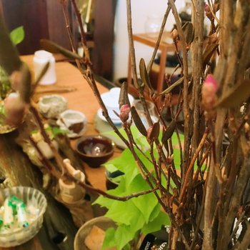 成都周曦普通公寓酒店提供图片