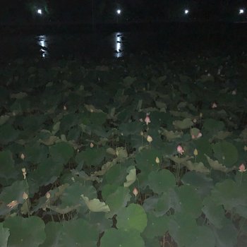 杭州叶茜公寓