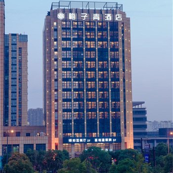 杭州梅子青酒店酒店提供图片
