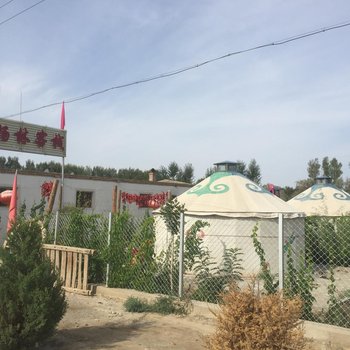金塔县胡杨林客栈公寓酒店提供图片