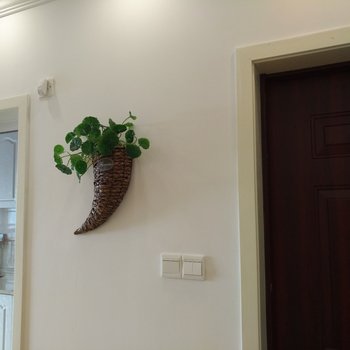 重庆观荷听雨淡如菊公寓(洋河东路一巷分店)