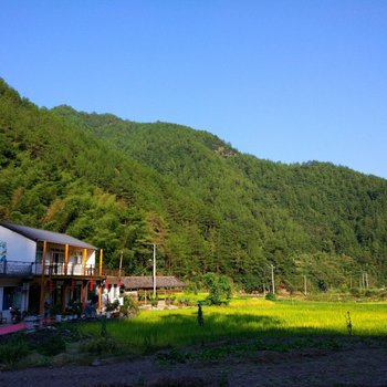 景宁梧桐树下民宿客栈酒店提供图片