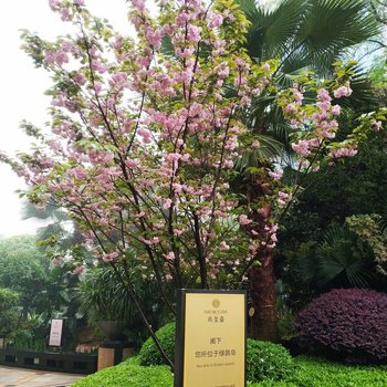 重庆云上生活公寓(亚太路分店)酒店提供图片