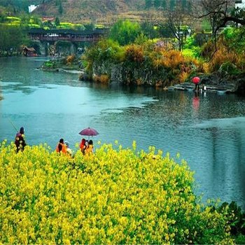 婺源东方的爱丽丝客栈(小桥流水人家景区分店)