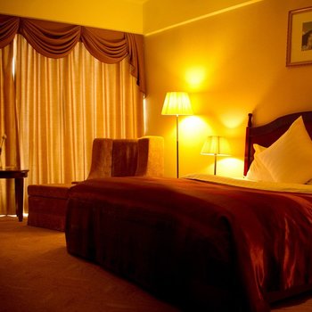 普洱景兰大酒店酒店提供图片