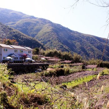 桃园马告山庄民宿酒店提供图片