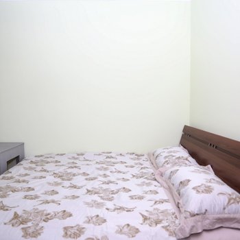 西安清香雨荷特色民宿(阿房一路辅路分店)酒店提供图片