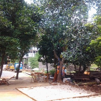 �������С��������ջ�Ƶ��ṩͼƬ