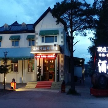 漠河县北极冰蓝莓酒庄(北极村分店)酒店提供图片