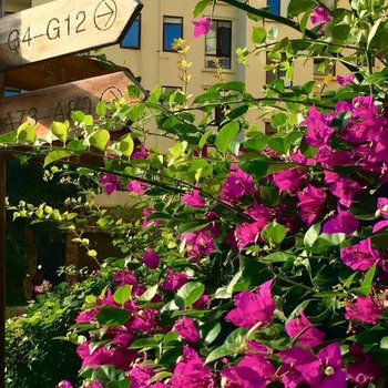 东山旗滨领海国际度假公寓酒店提供图片