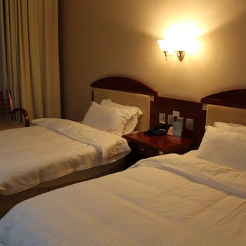 利辛县安达主题酒店酒店提供图片