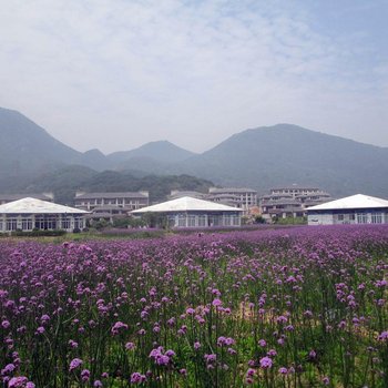 舟山桃花岛江湖会所