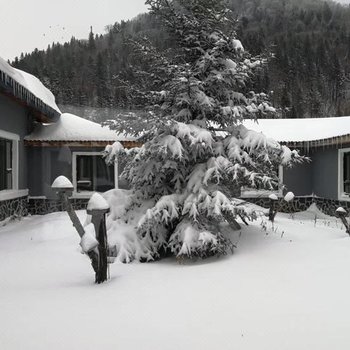 雪乡艺术家酒店酒店提供图片