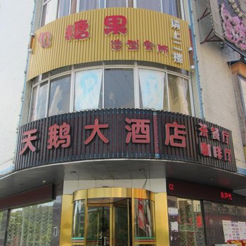 攸县天鹅大酒店酒店提供图片