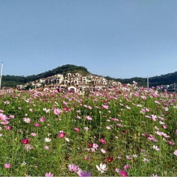 惠州保利随心温泉?公寓(马星村分店)