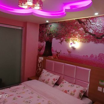 武汉诗语主题公寓酒店提供图片