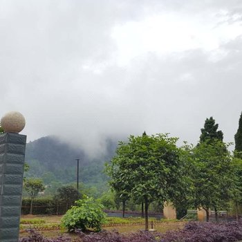 重庆宁静乡村返璞归真农家乐酒店提供图片