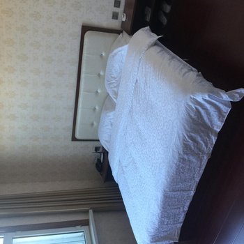 东乌旗乌拉盖德裕商务宾馆酒店提供图片