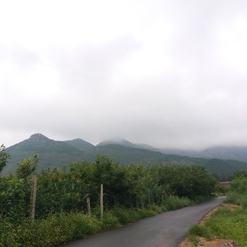 济南林泉居士民宿