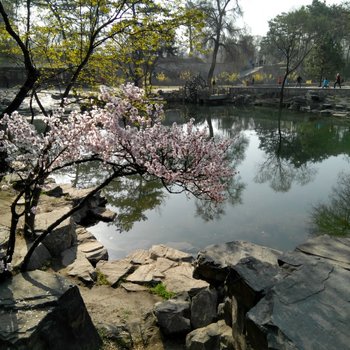 承德橘子味道公寓