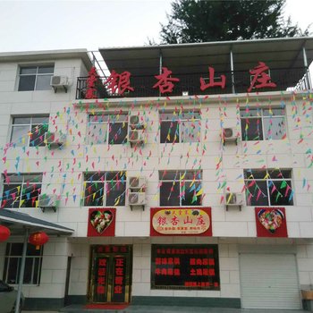 天堂寨银杏山庄酒店提供图片