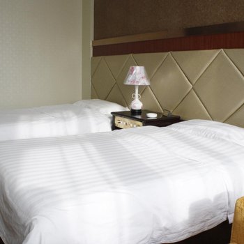 巴彦淖尔亚威国际大酒店酒店提供图片