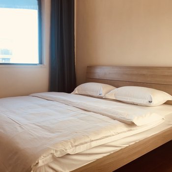 儋州海诚雅舍公寓酒店提供图片