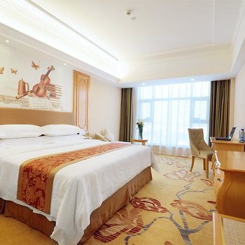 维也纳酒店(新宁崀山店)酒店提供图片