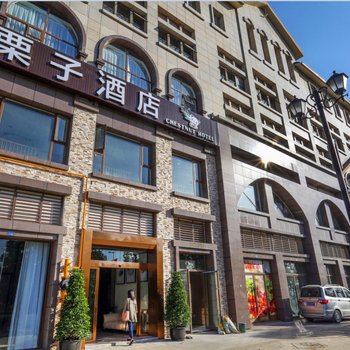 梵拉图·栗子酒店(成都熊猫基地店)