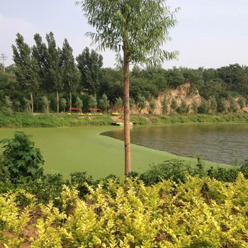荥阳优河湾生态园