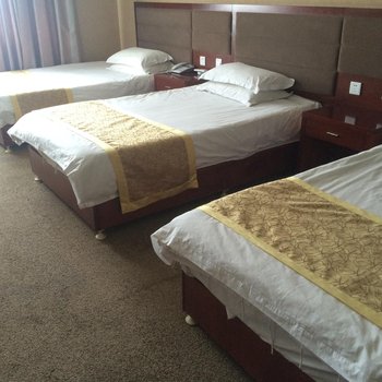 巴里坤富华假日宾馆酒店提供图片