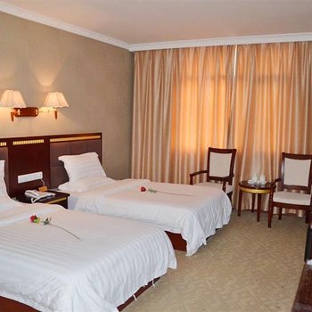 武当山国宾大酒店(太和西路店)酒店提供图片