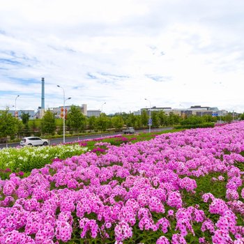 白山岳桦林公寓酒店提供图片