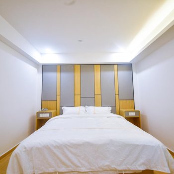 上海途莱精选酒店浦东机场店酒店提供图片