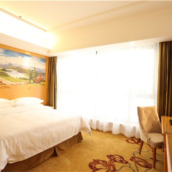维也纳酒店(天津中北镇店)酒店提供图片