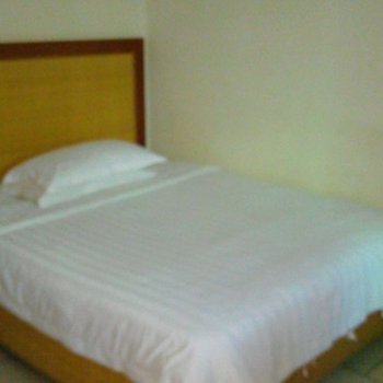 儋州椰风情宾馆酒店提供图片
